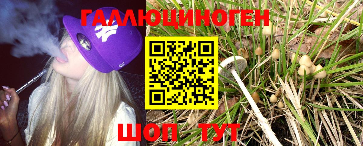Псилоцибиновые грибы Psilocybine cubensis  Псилоцибиновые грибы MAGIC MUSHROOMS  Вход с VPN  Люберцы 